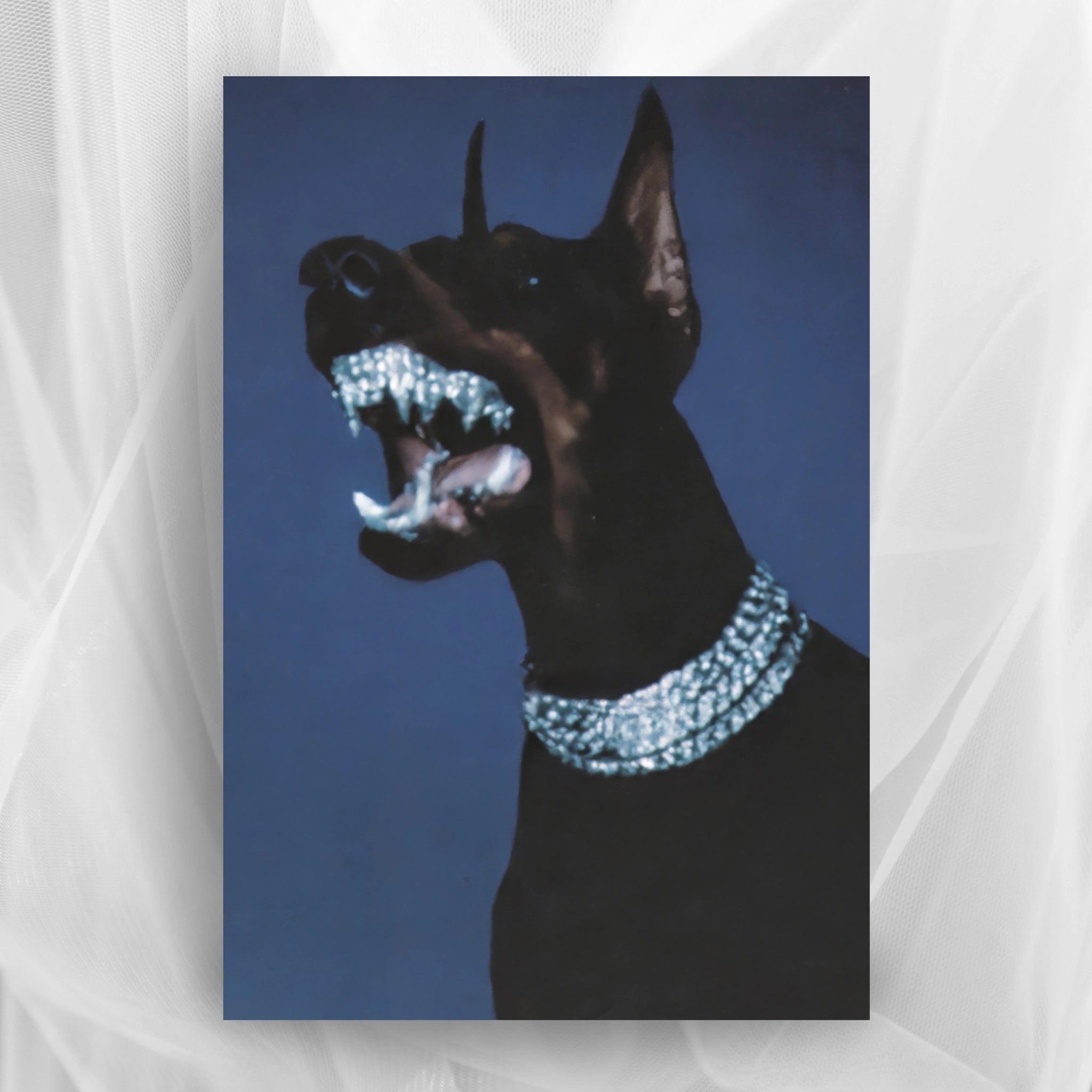 Doberman