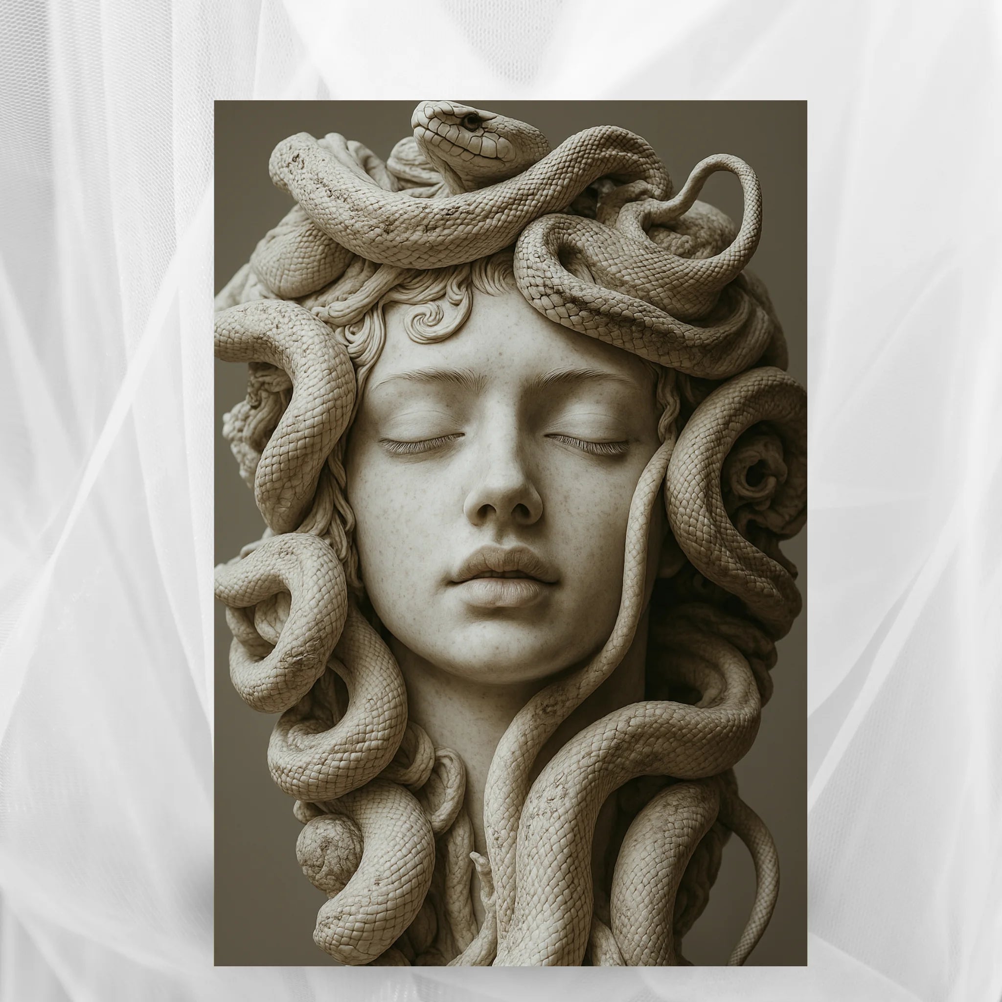 Medusa Snakes