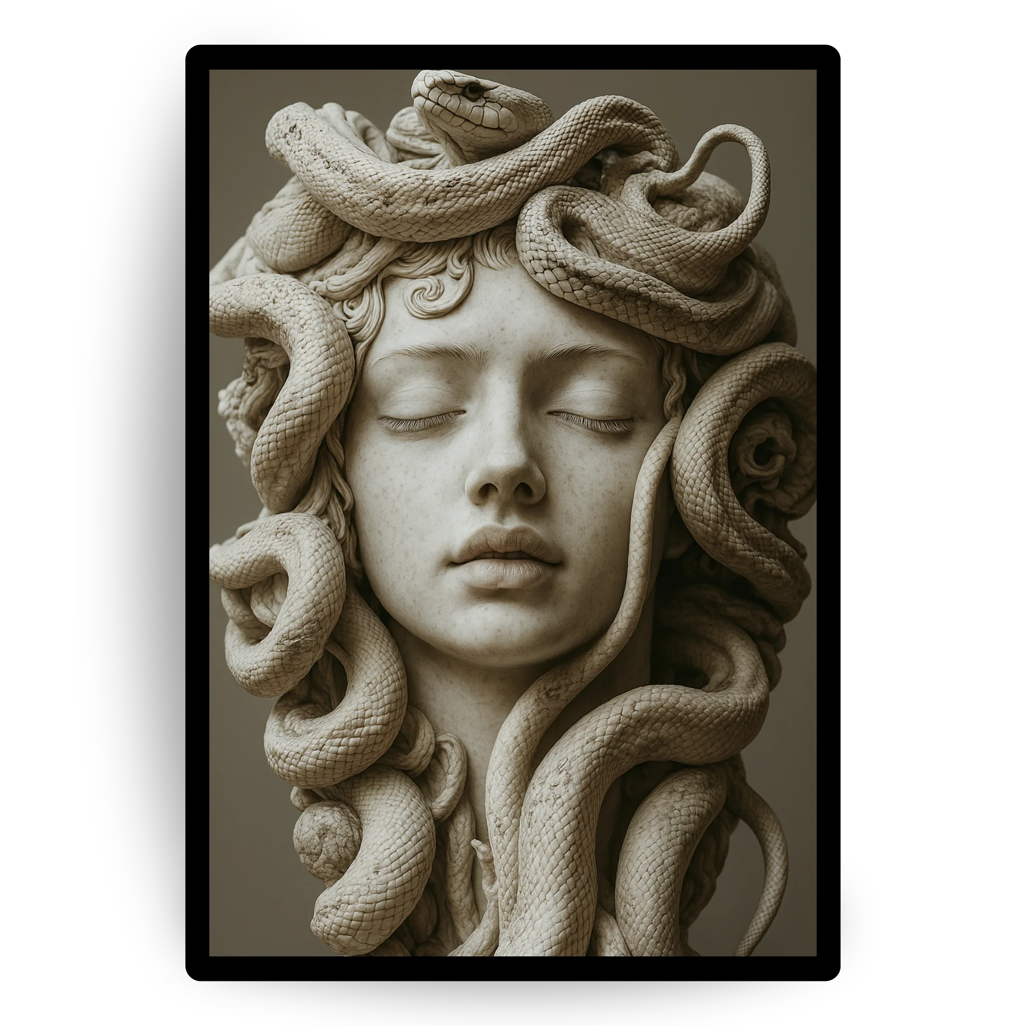 Medusa Snakes